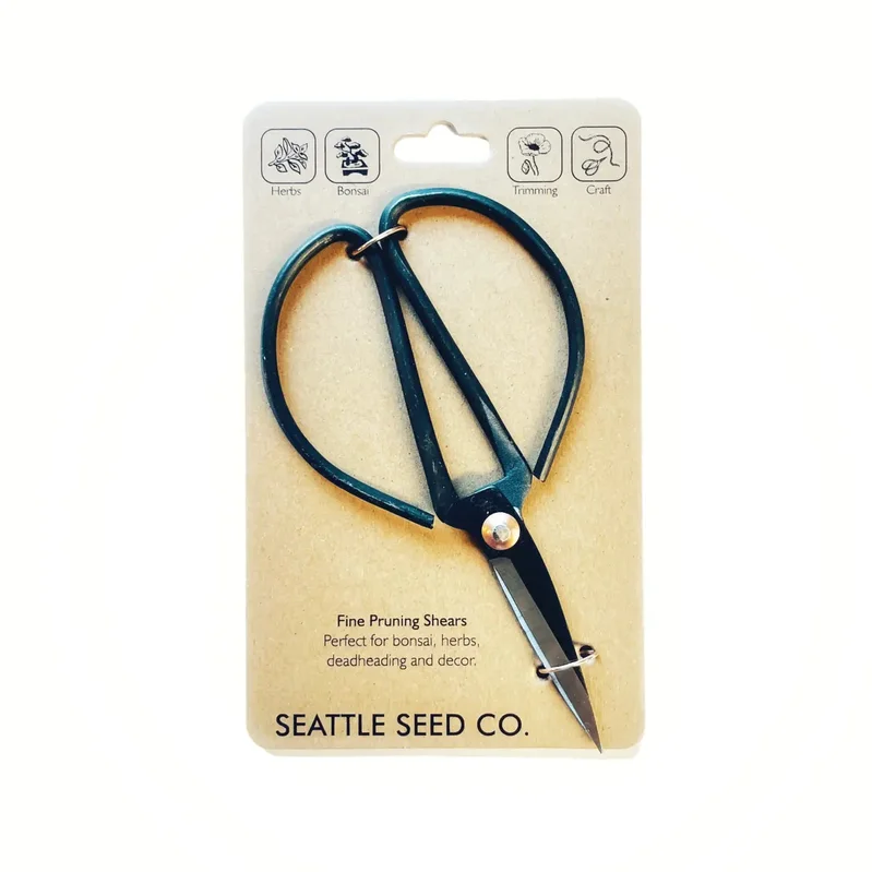 clickseattlelocal3790311