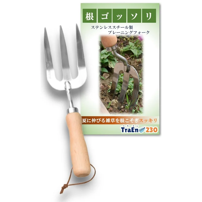 ibspot-14733402