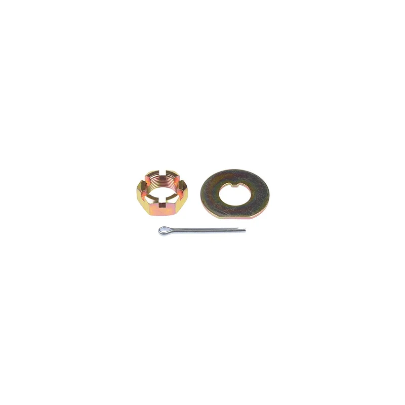 ibspot-15574636