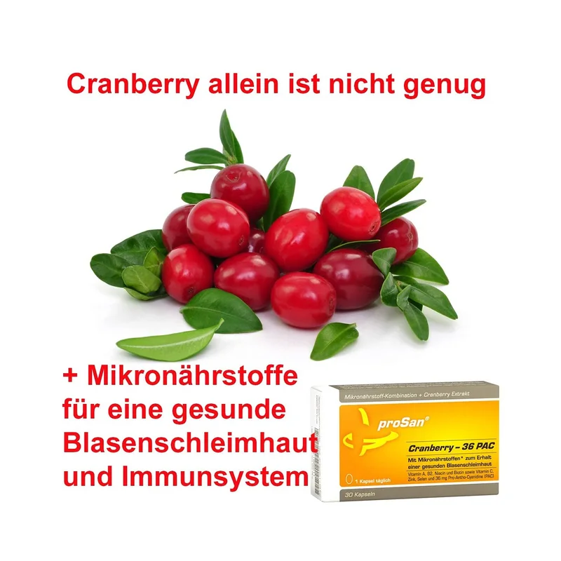 ibspot-15882335