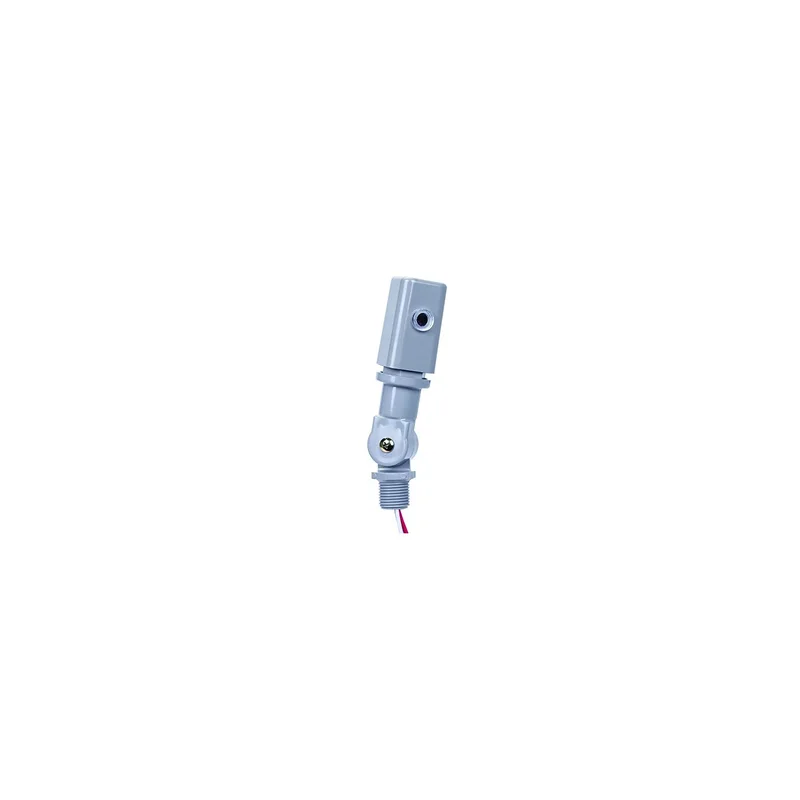 ibspot-24803510