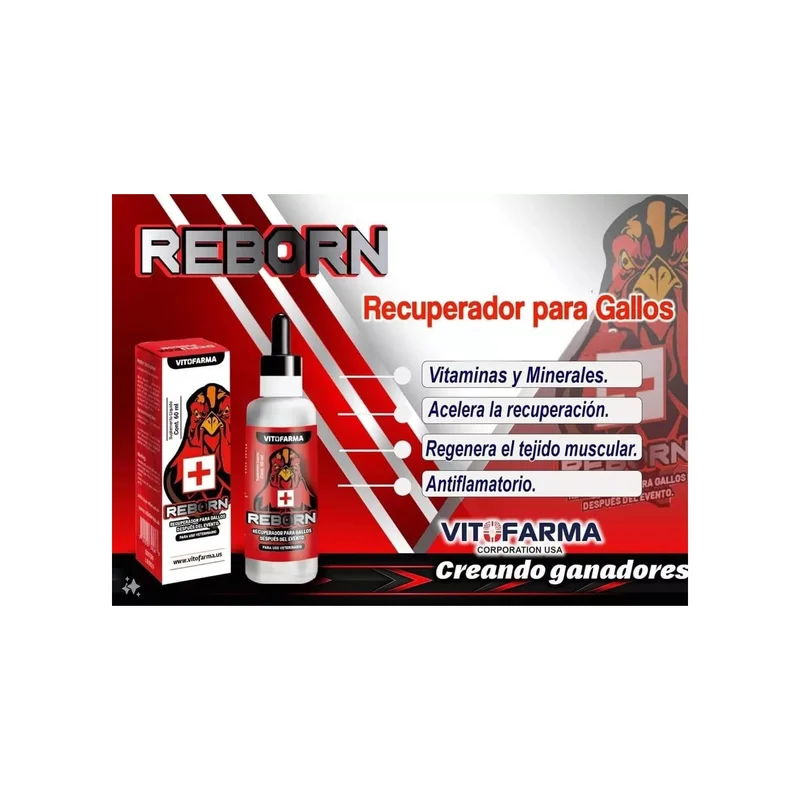 ibspot-3209316