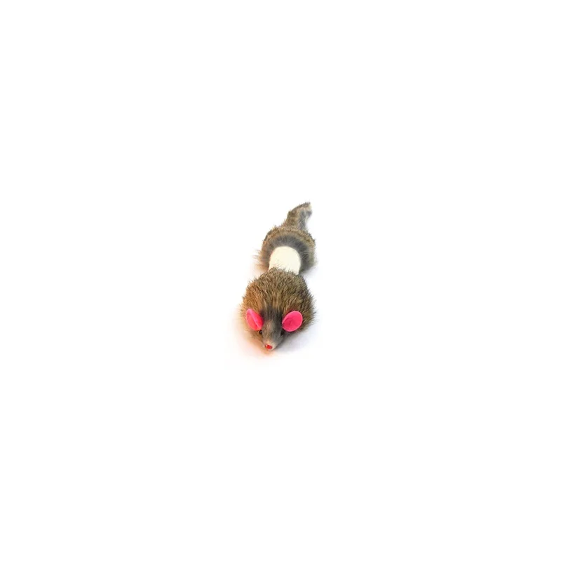 ibspot-34192930