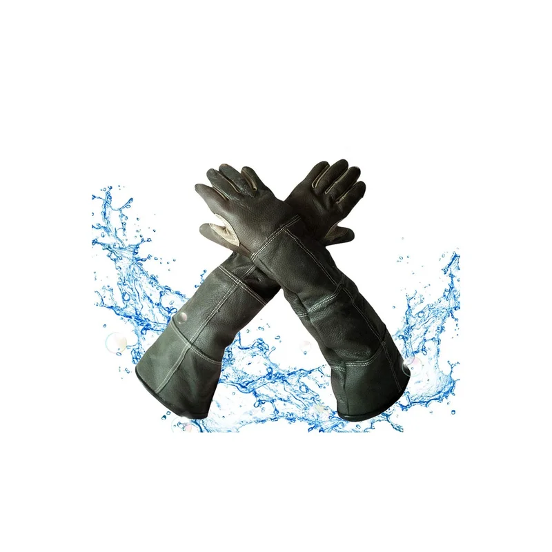 ibspot-34890320