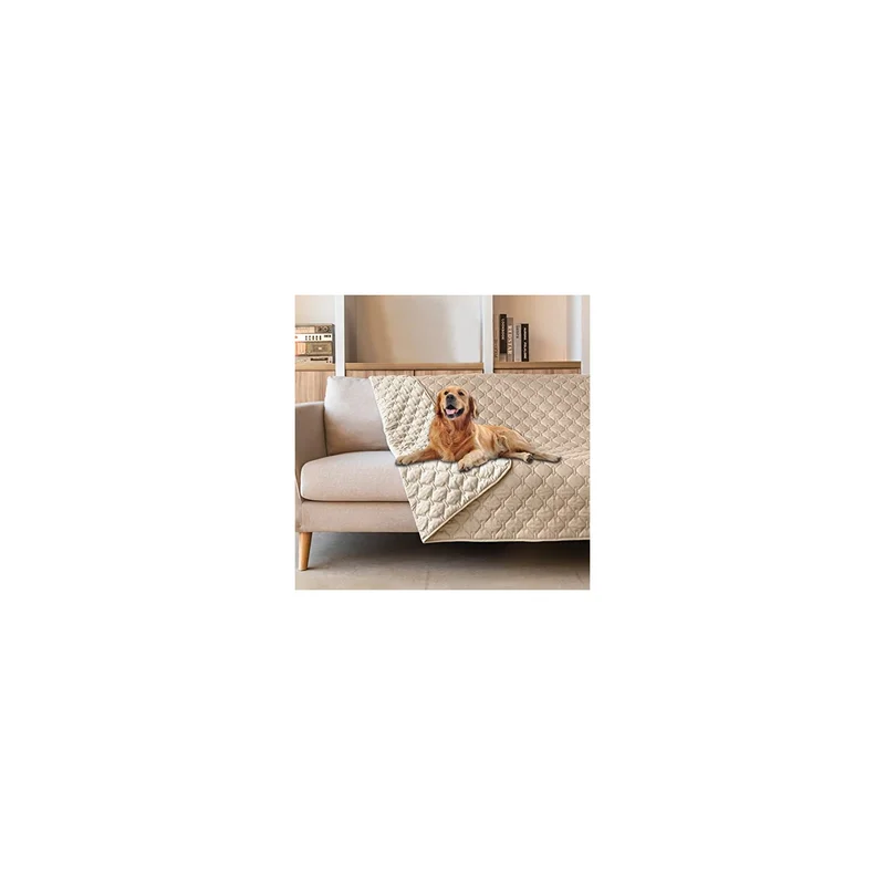 ibspot-35044296