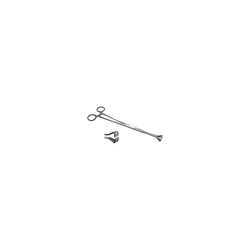 ibspot-36058758