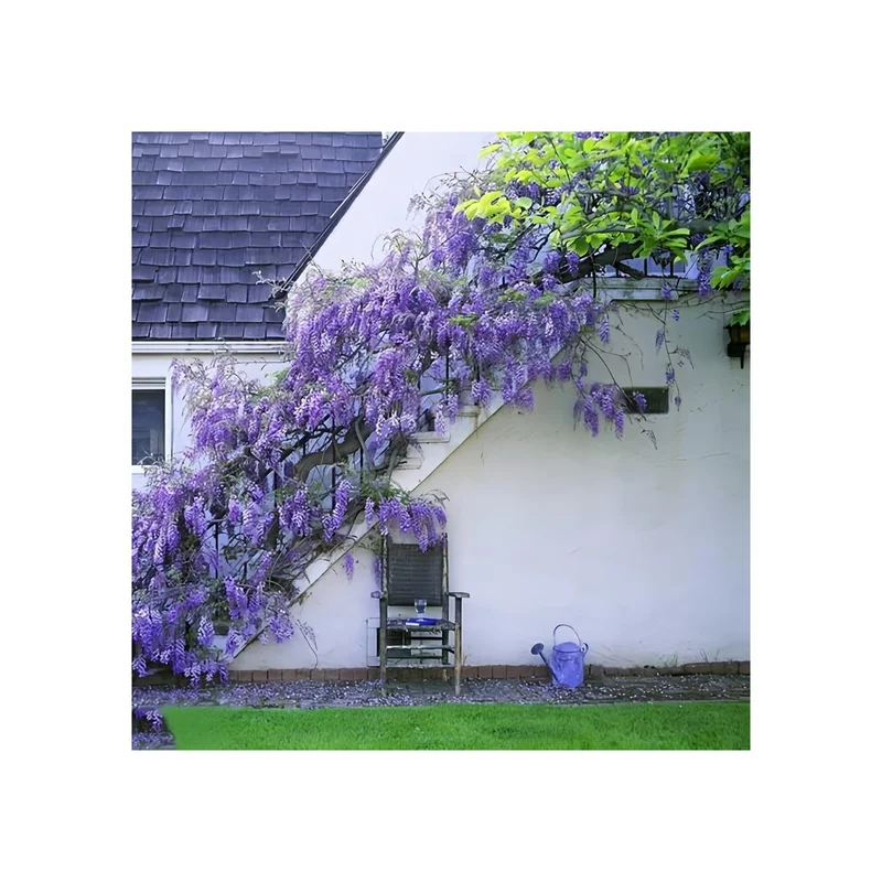 ibspot-44356205