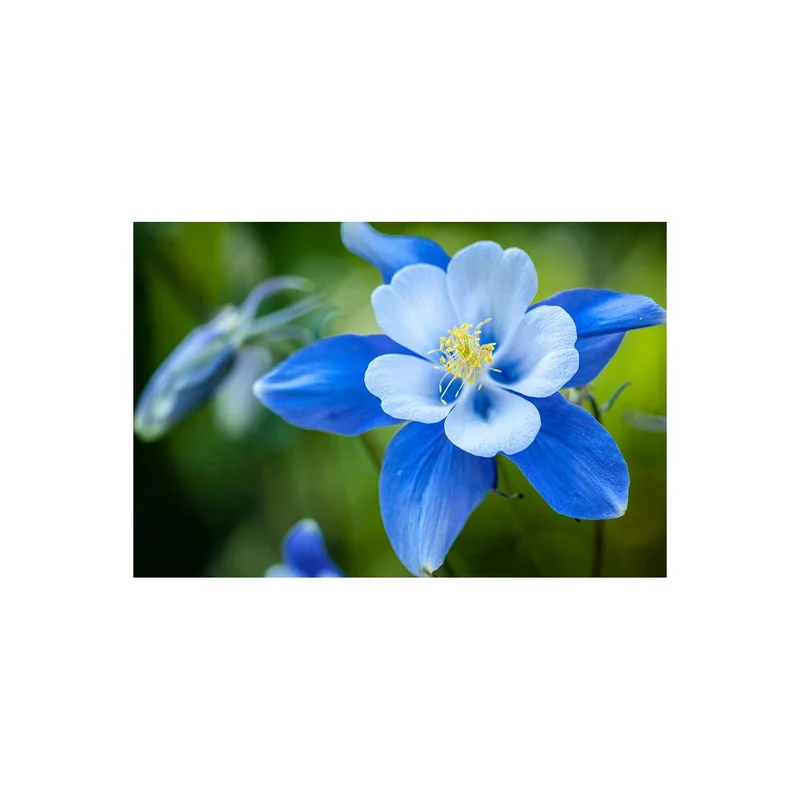 ibspot-46042008