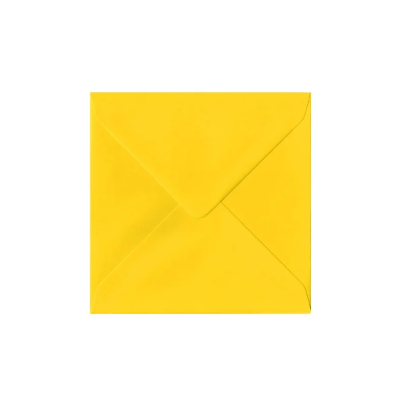 ibspot-5134209