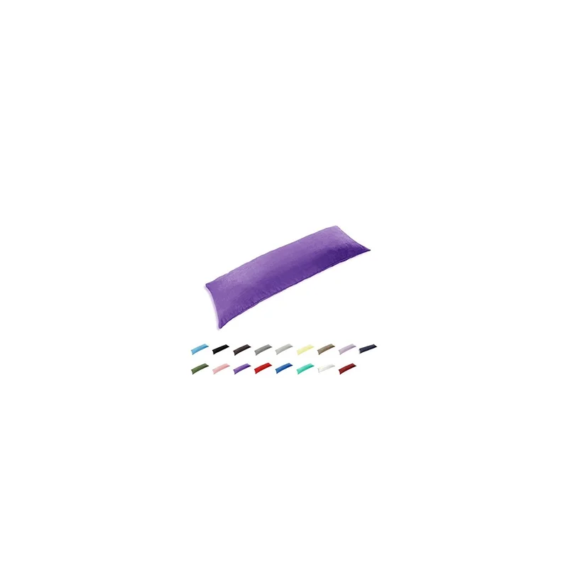 ibspot-5231936