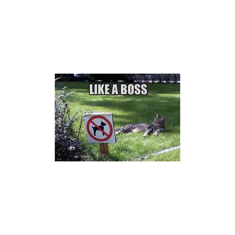 ibspot-54308031