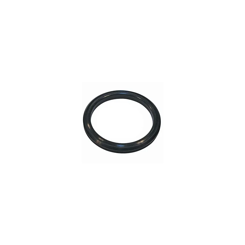 ibspot-54889622