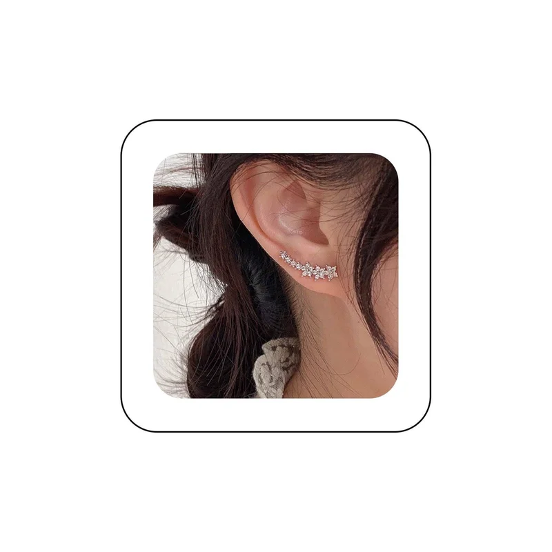 ibspot-55066147