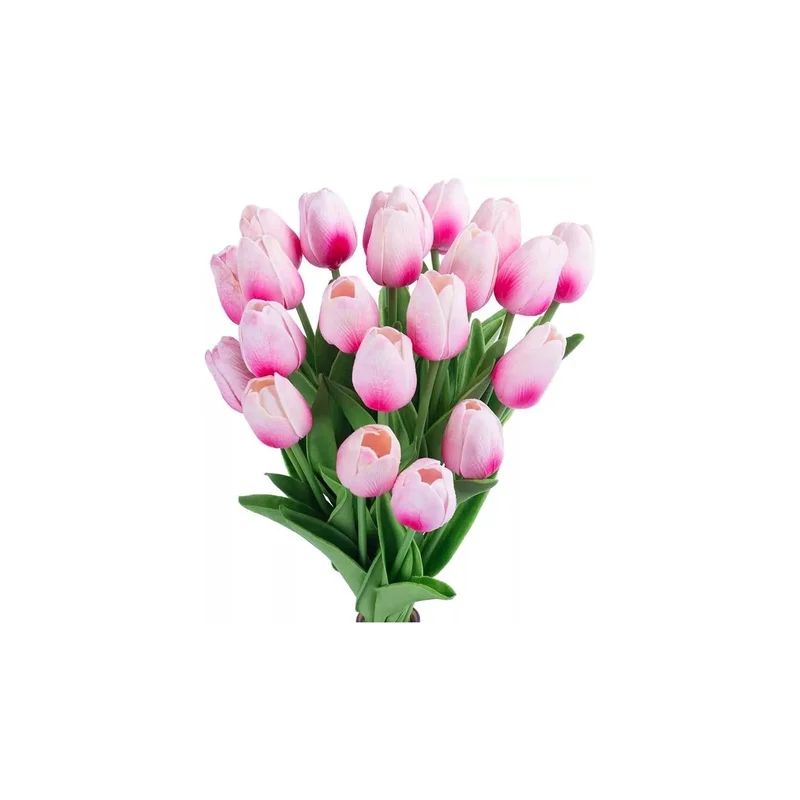ibspot-55931651