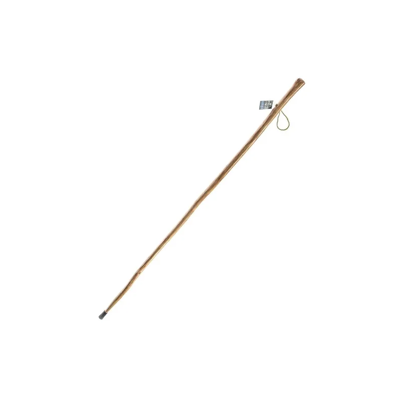 ibspot6104474