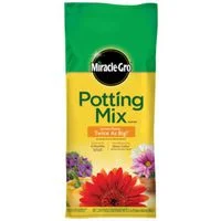 pettigrew-online4224363