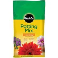 pettigrew-online4224941