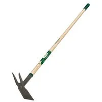 pettigrew-online4233553