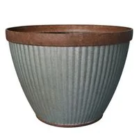 pettigrew-online4240444