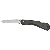 pettigrew-online4513093