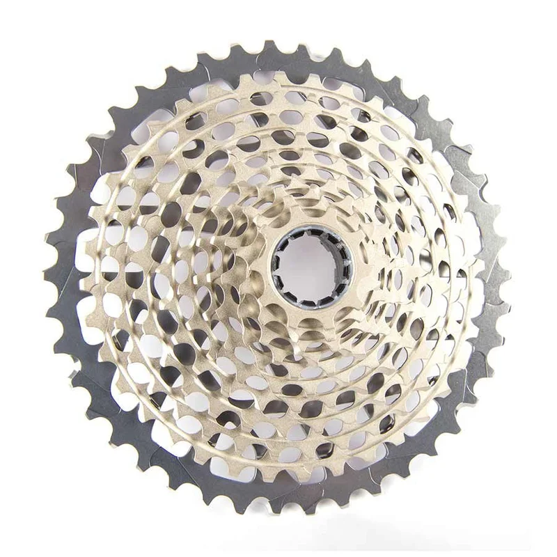 quantavici6634928