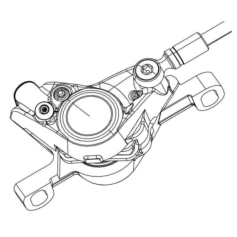 quantavici6674417