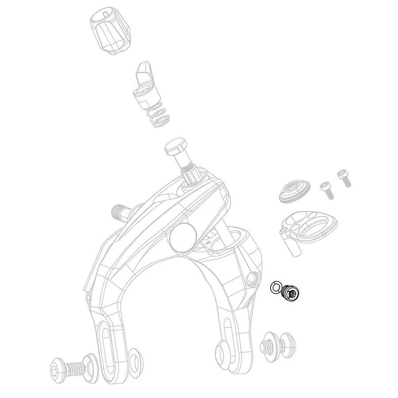 quantavici6738693