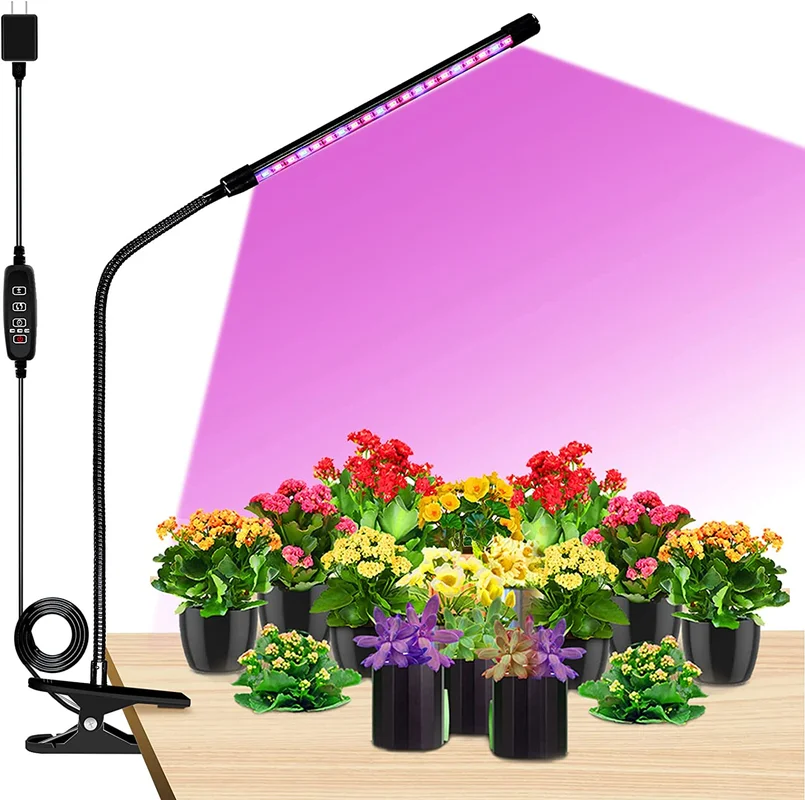 zeebooth-14217438