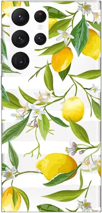 zeebooth-24181324