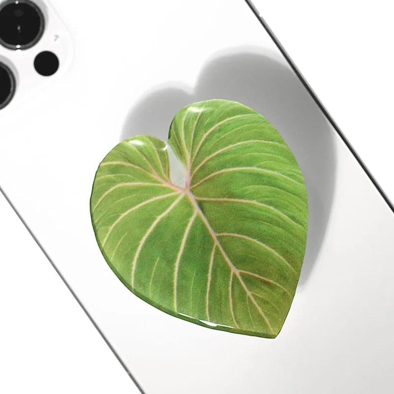 zeebooth-24207236