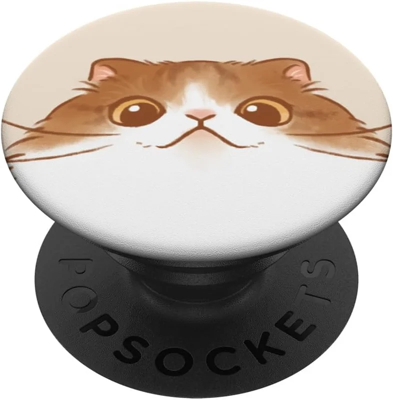 zeebooth-24489797