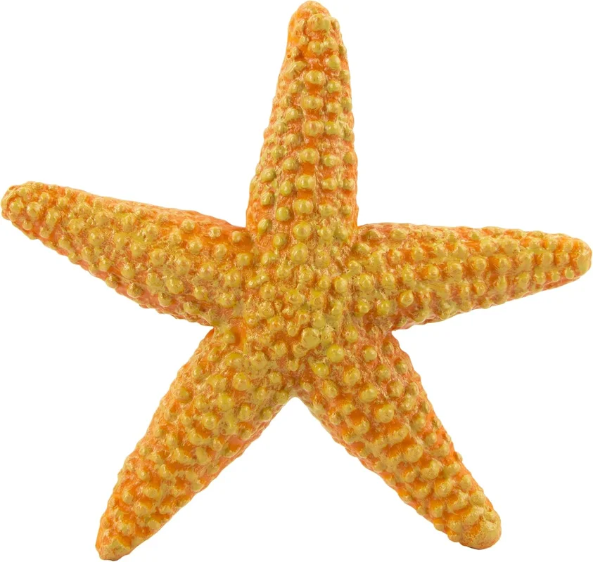 zeebooth-44065856