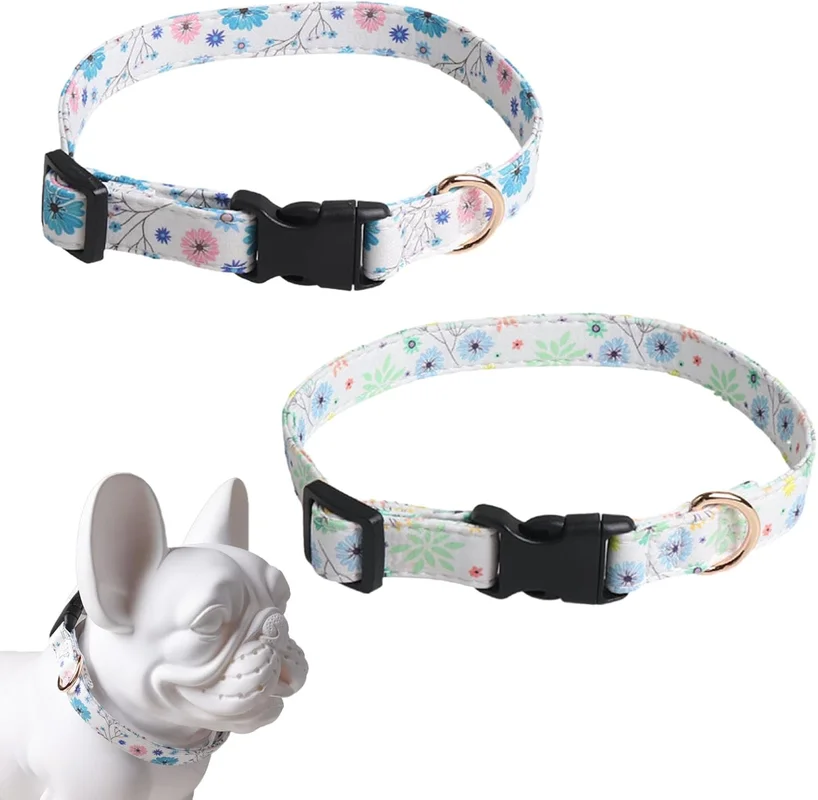 zeebooth-44426125