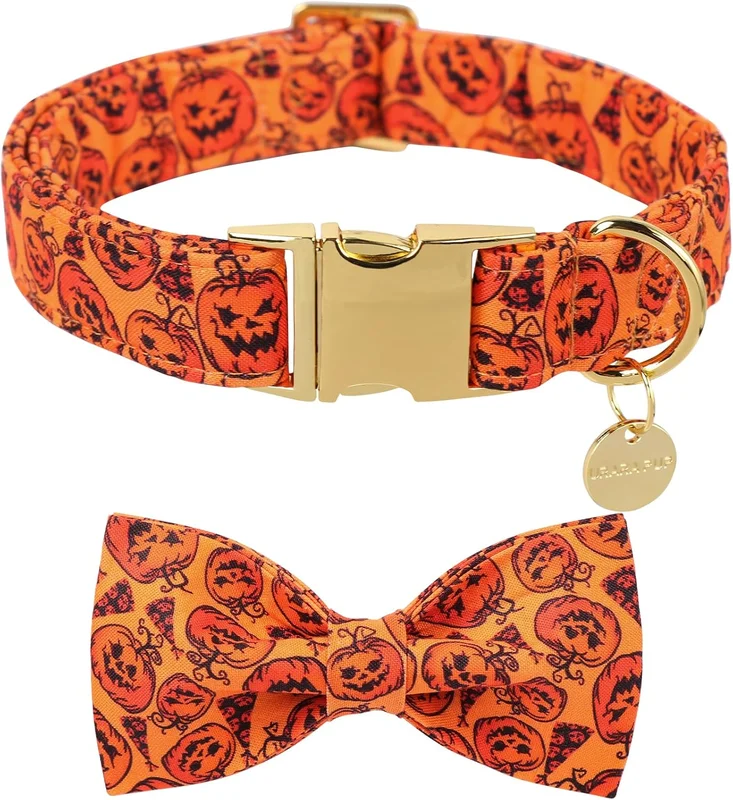 zeebooth-44560985
